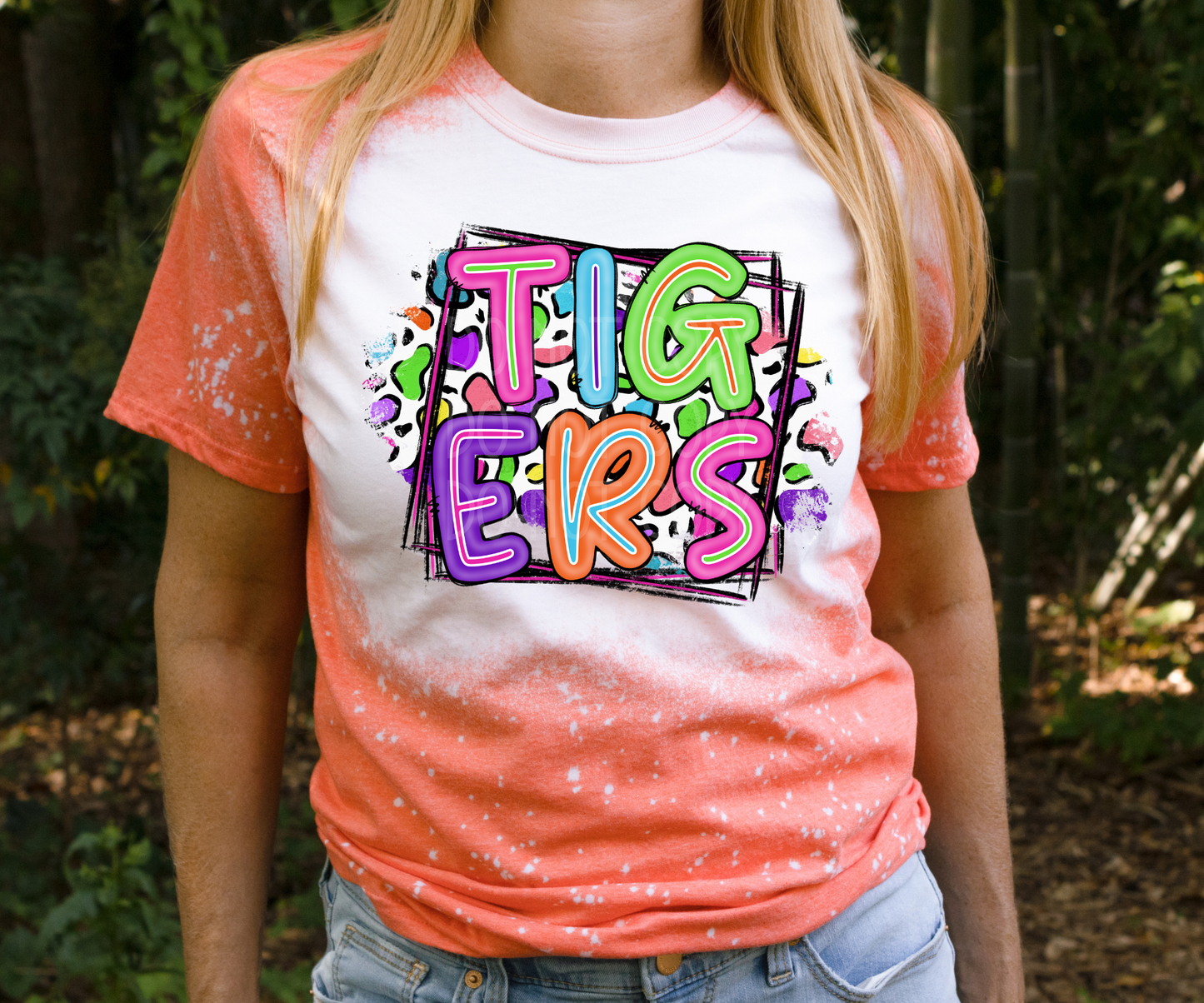 Tigers Colorful Cheetah DTF