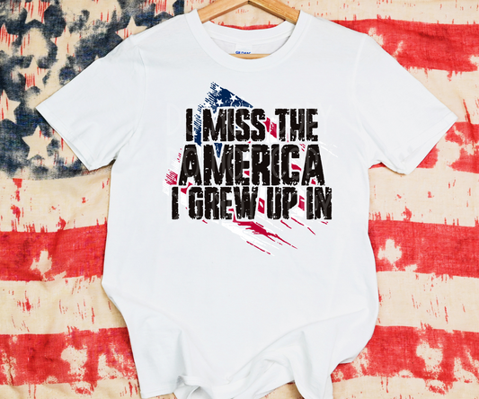 I Miss the America I Grew Up In  DTF